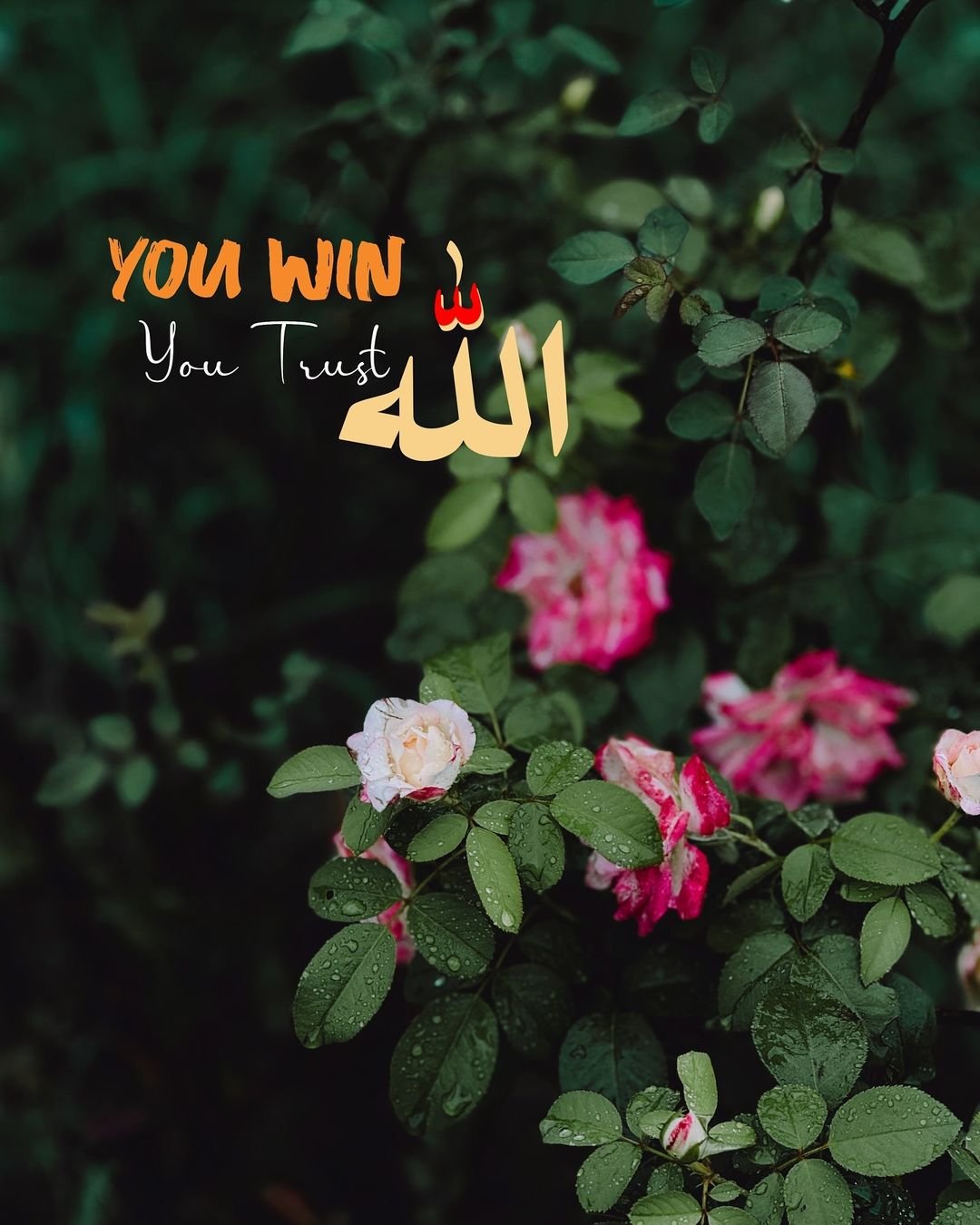 Trust Allah For Everything